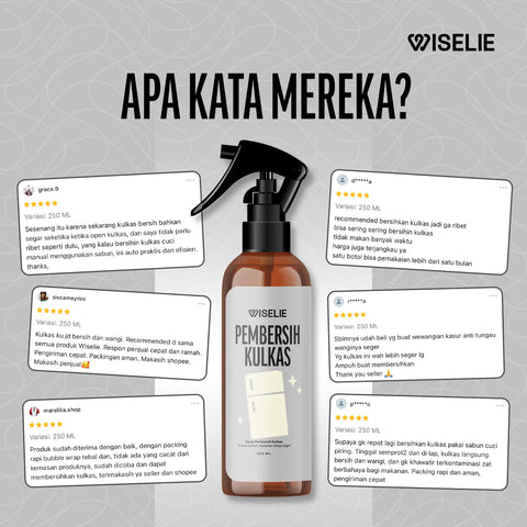 Testimoni pelanggan yang telah membeli pembersih kulkas wiselie