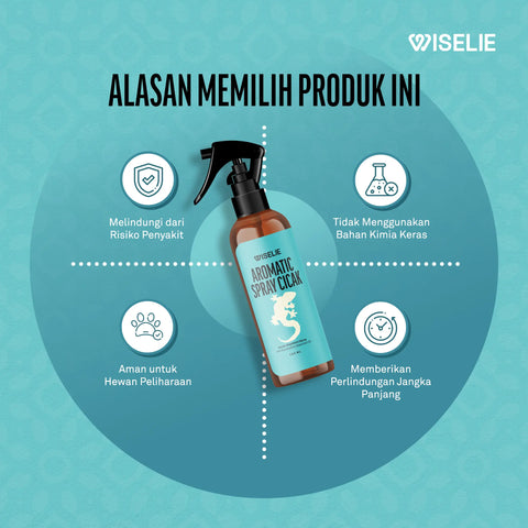 Wiselie semprotan pengusir cicak di dinding dapur