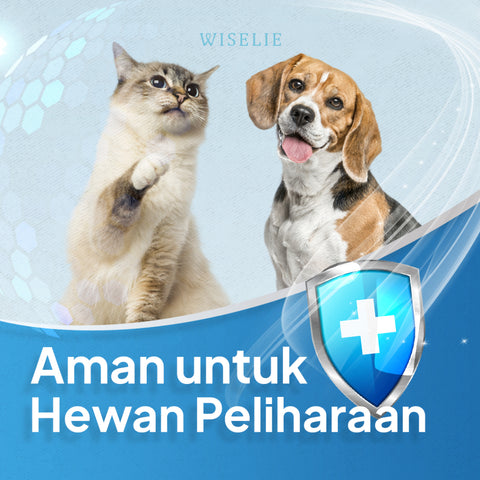 Wiselie Anti Semut Aromatic Spray Penghilang Semut Efektif Pengusir Semut Aman dan Alami Dijamin Ampuh Mengusir Semut Tanpa Racun Menciptakan Lingkungan Bebas Semut Aman untuk Keluarga Tahan Lama Cocok untuk Penggunaan di Dalam dan Luar Ruangan