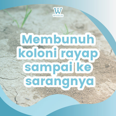 Wiselie Anti Rayap Pembasmi Rayap Ampuh Penghilang Rayap