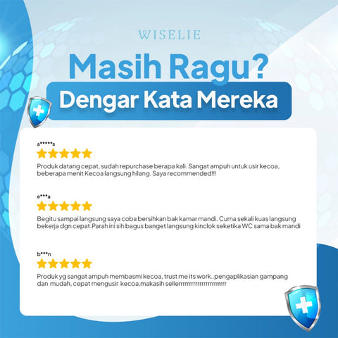 Wiselie Anti Kecoa Spray Racun Pembasmi Kecoa Kecoak Bugs Buster Terampuh Paling Ampuh