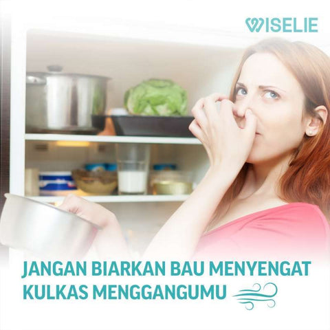 Wiselie Pembersih Kulkas Anti Bau Dilengkapi Anti Bakterial Tidak Meninggalkan Residu Kulkas Bersih dan Segar