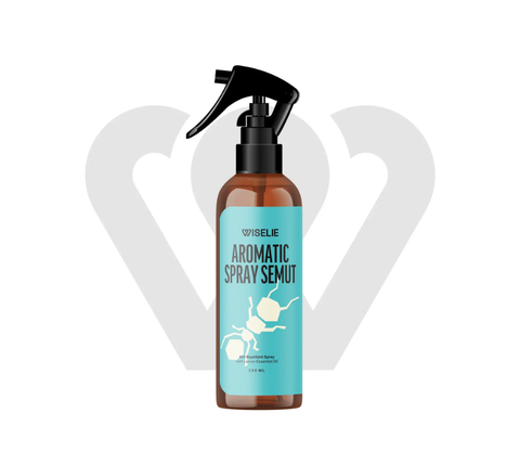 Wiselie Paket Bundling Pembersih Mesin Cuci, Spray Anti Semut 250ml dan Toilet Spray Sanitizer