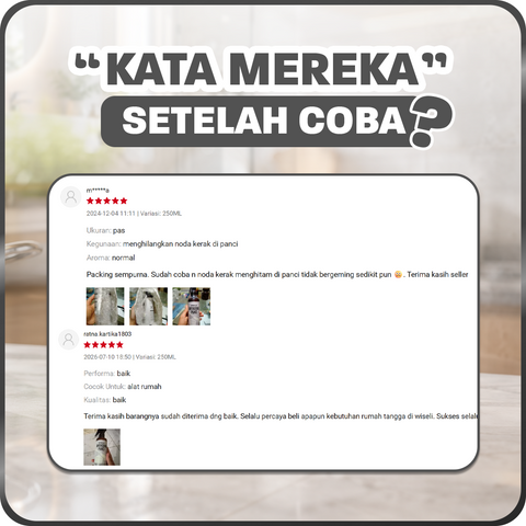 Wiselie Pembersih Kerak Panci 250 ml