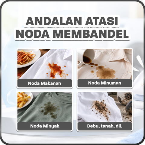 Wiselie Cloth Stain Remover 500 g