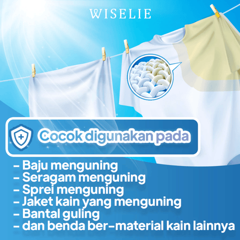 CLOTH STAIN REMOVER - WISELIE HOME CLEANER