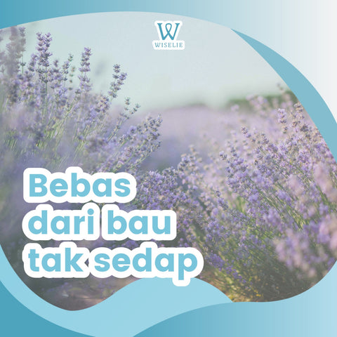 Wiselie Anti Rayap Pembasmi Rayap Ampuh Penghilang Rayap