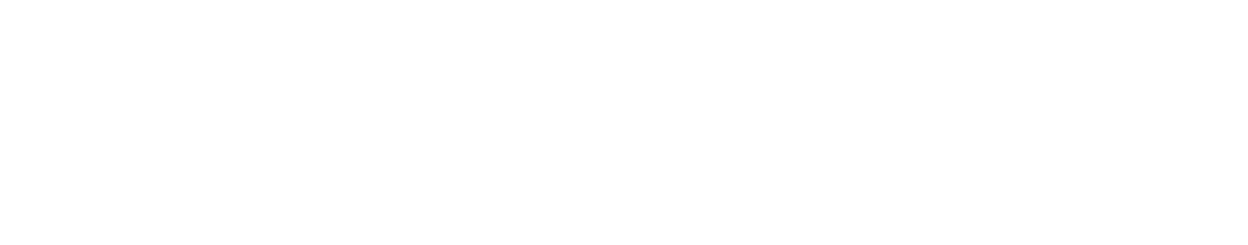 Wiselie Official Store